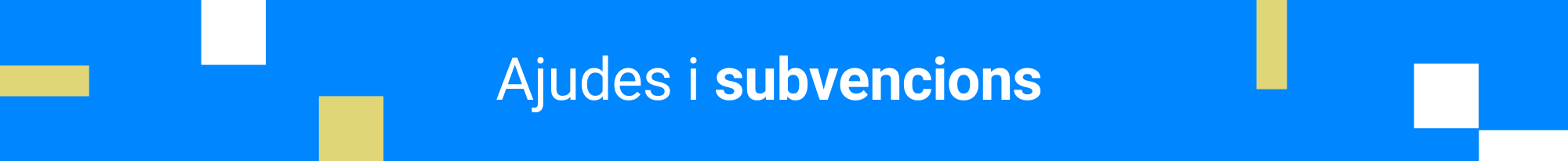 Ajudes i Subvencions