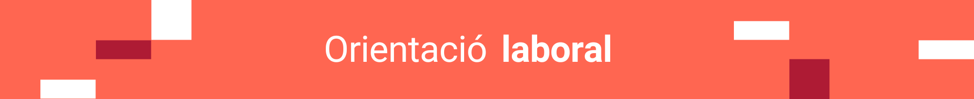 Orientació Laboral
